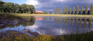 sauge_teich_stimmung